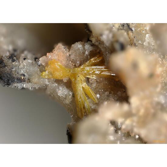 Walpurgite