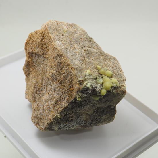 Dickthomssenite