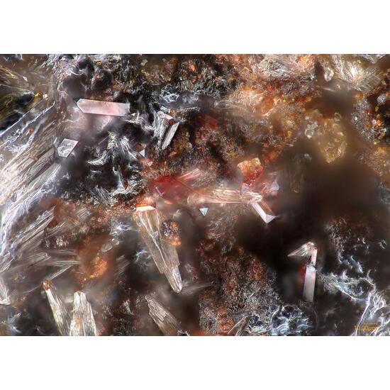 Pyrobelonite & Shigaite