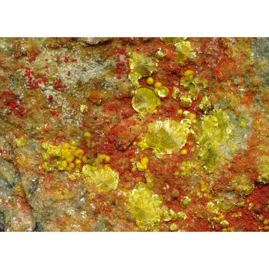 Umohoite & Calcurmolite