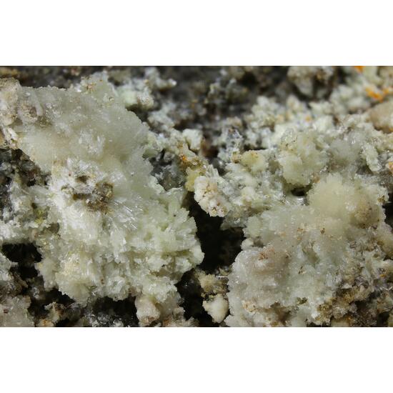 Dickthomssenite