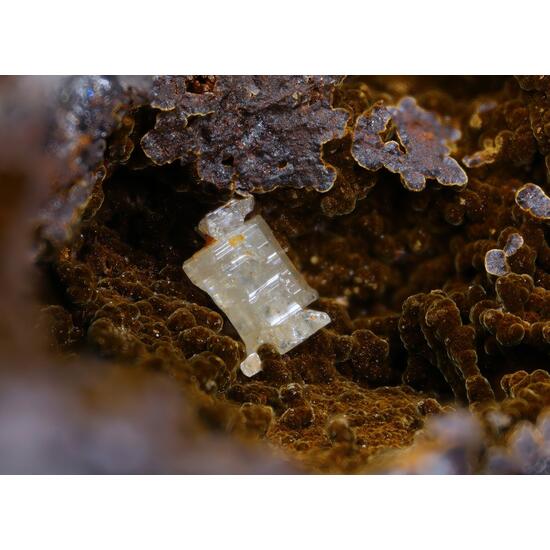 Iodargyrite