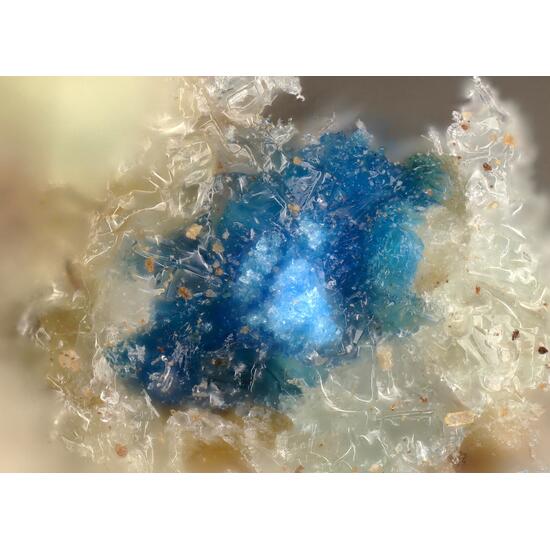 Antipinite