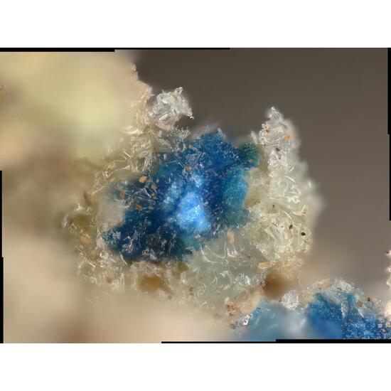Antipinite