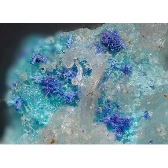 Bojarite