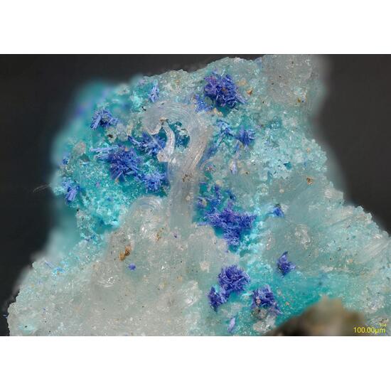 Bojarite
