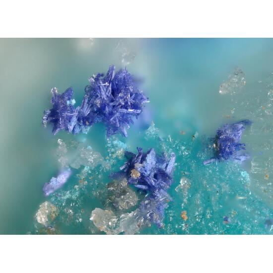 Bojarite