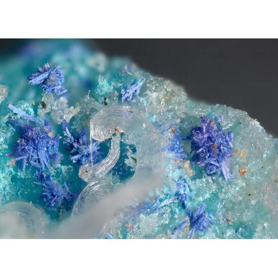 Bojarite