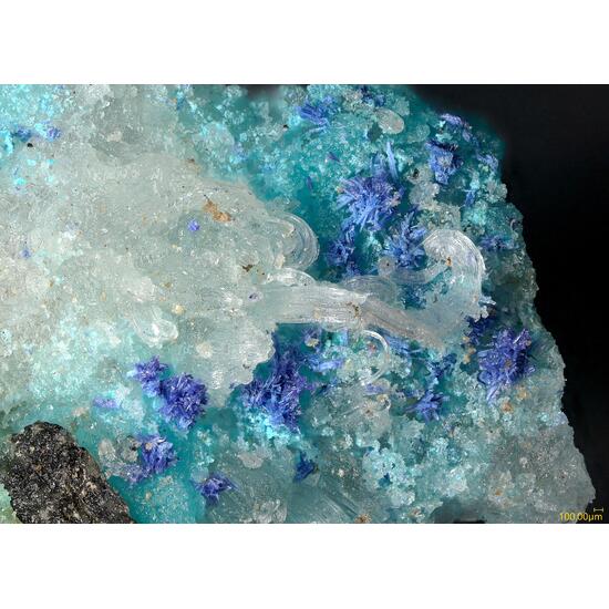 Bojarite