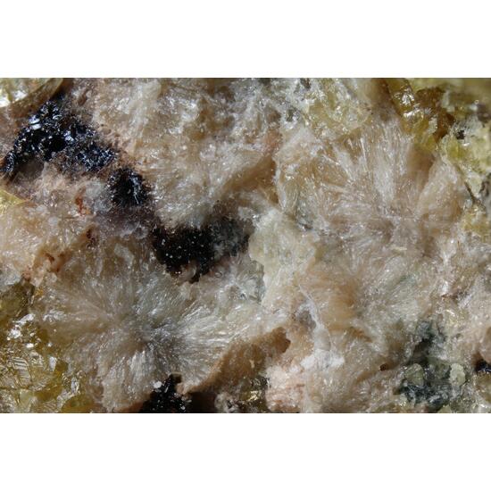 Bornemanite & Ussingite