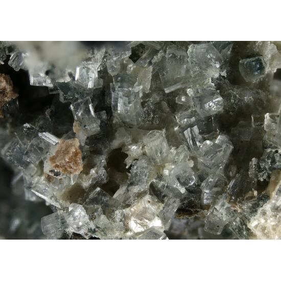 Scholzite