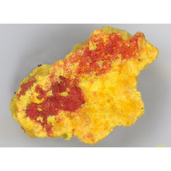 Umohoite & Vanmeersscheite