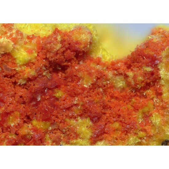 Umohoite & Vanmeersscheite