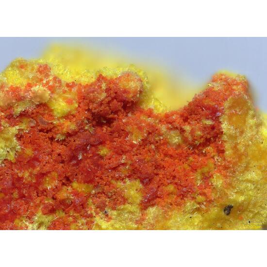 Umohoite & Vanmeersscheite