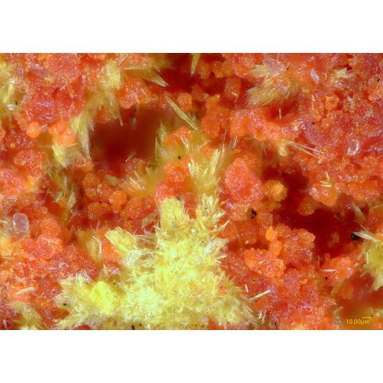Umohoite & Vanmeersscheite