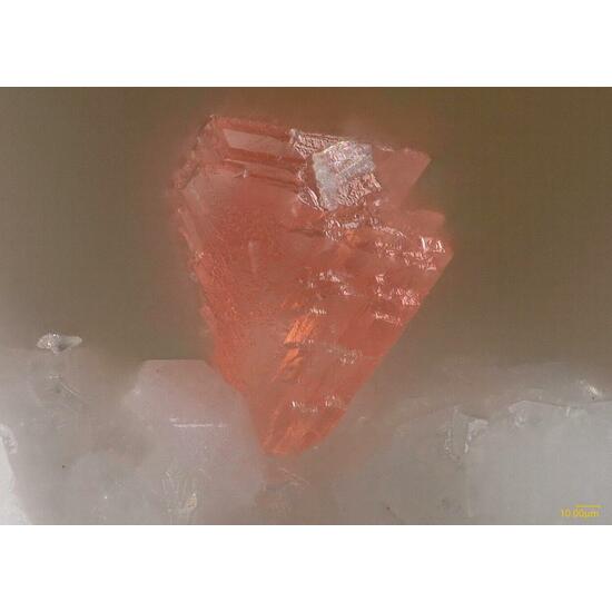 中国 天然 鑑賞 石 痩透漏 1810cm 鑑賞石｜Yahoo!フリマ（旧