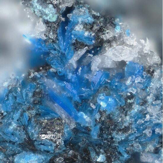 Lauraniite
