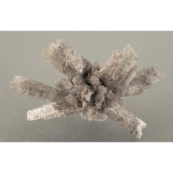 Gypsum Var Selenite