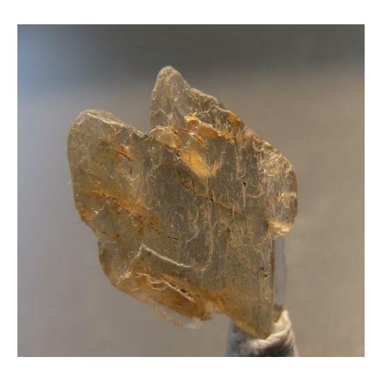 Pargasite