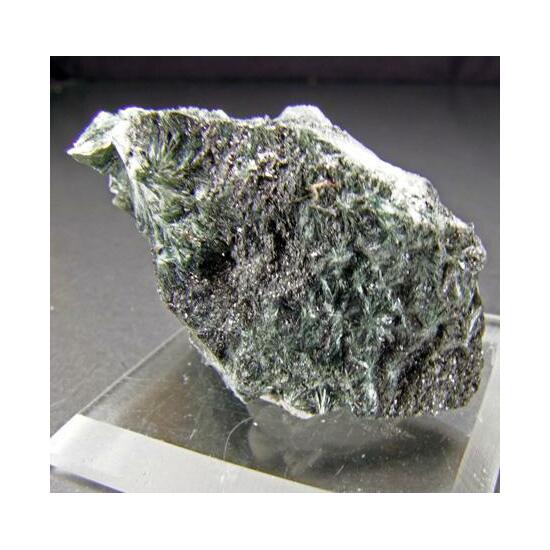 Actinolite