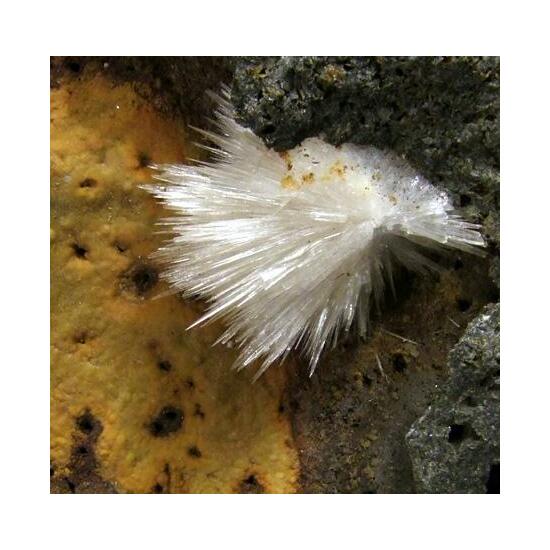 Aragonite On Ferroan Calcite