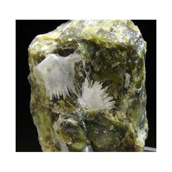 Aragonite On Serpentine