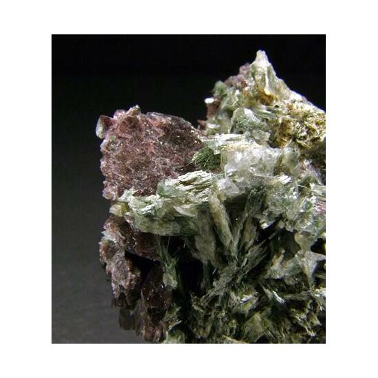 Axinite-(Fe) & Actinolite