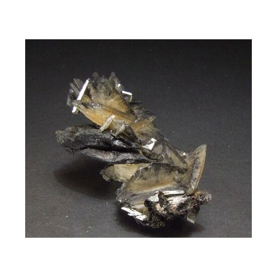 Baryte On Lignite