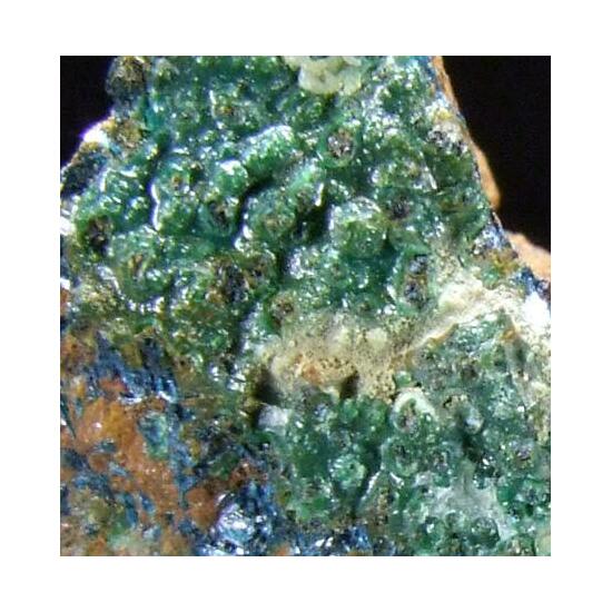 Clinoclase With Conichalcite & Hyalite