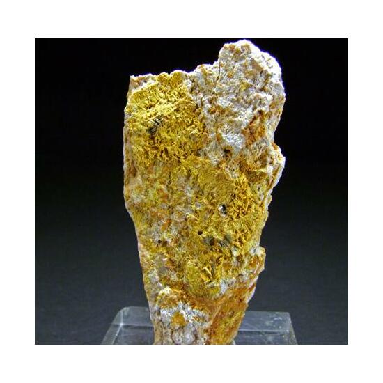 Dewindtite
