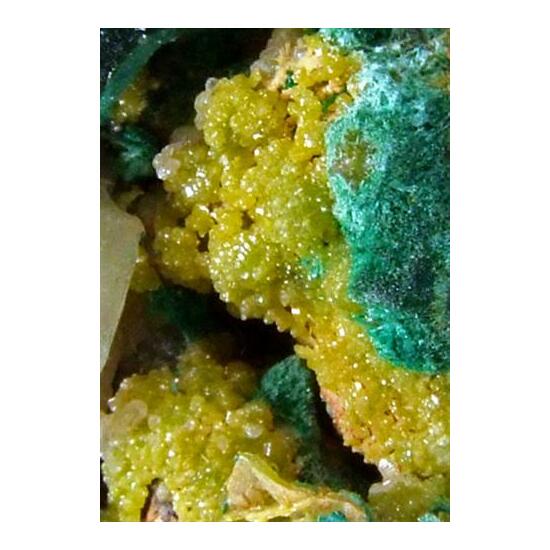 Malachite Cerussite & Pyromorphite