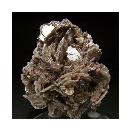 Muscovite On Albite