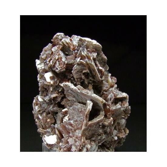 Muscovite On Albite