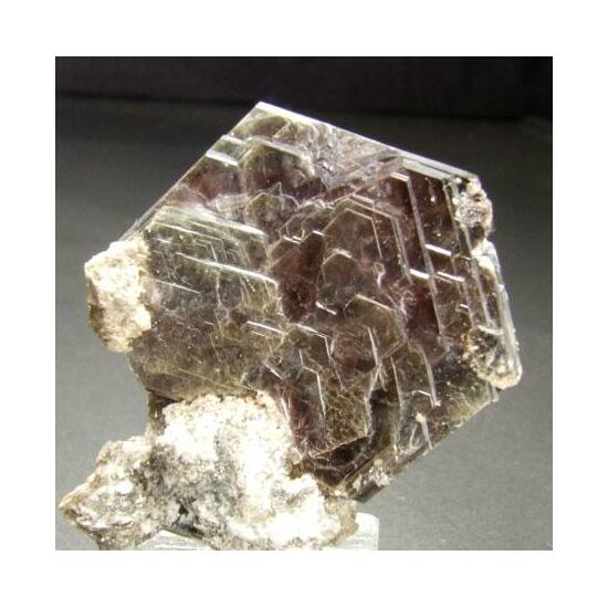 Muscovite