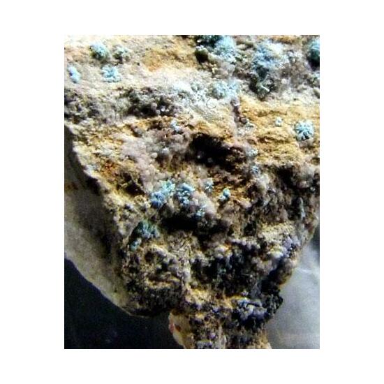 Paratooite-(La) & Kamphaugite-(Y)