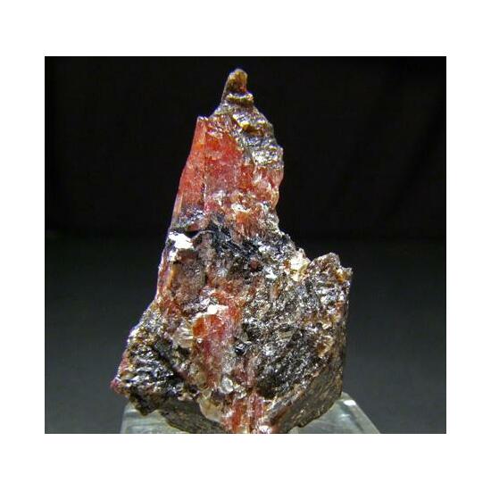 Rhodonite Psm Fayalite Tephroite