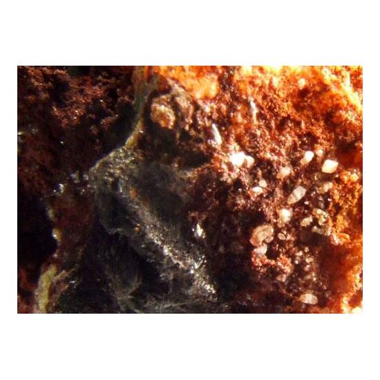 Stolzite Raspite & Cuprotungstite