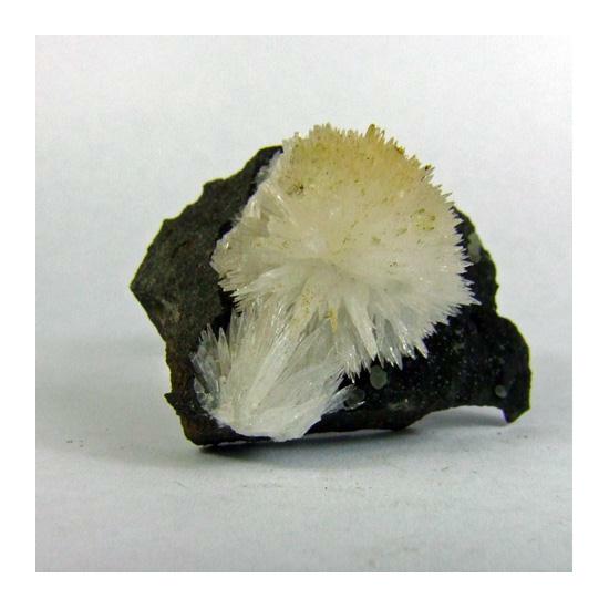 Aragonite