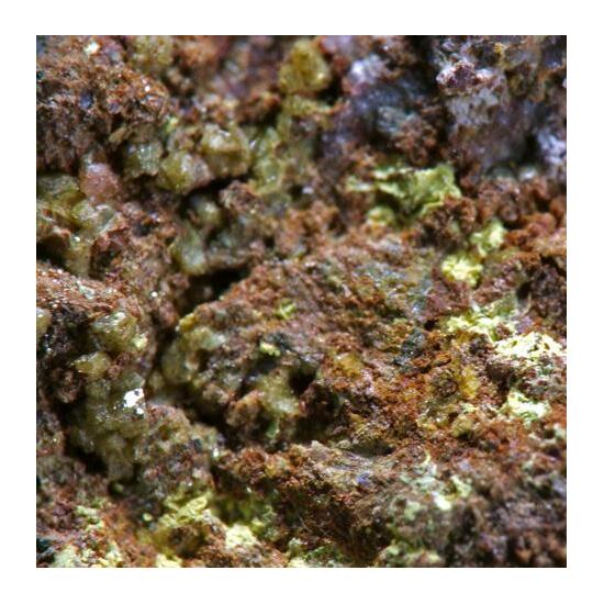 Cobaltaustinite & Karibibite