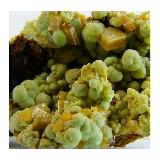 Mimetite & Wulfenite