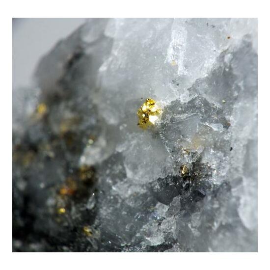 Gold In Quartz