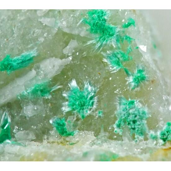 Agardite