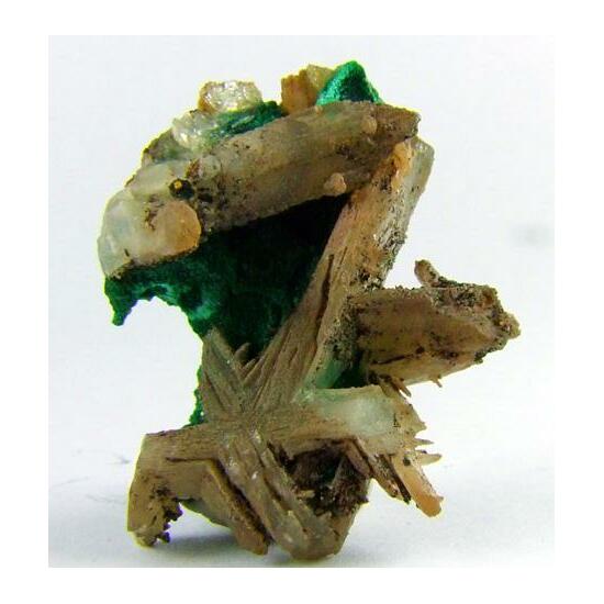 Cerussite On Malachite