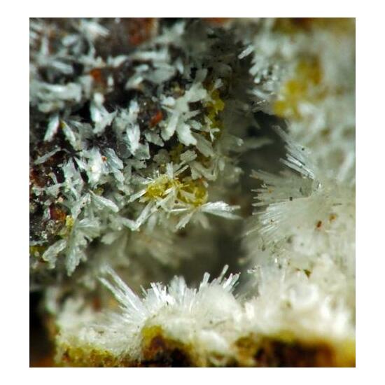 Cyrilovite & Wavellite