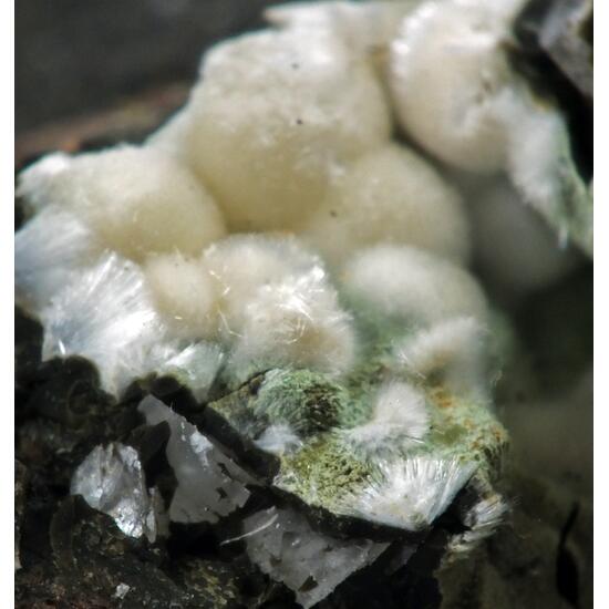 Ferrierite-Mg