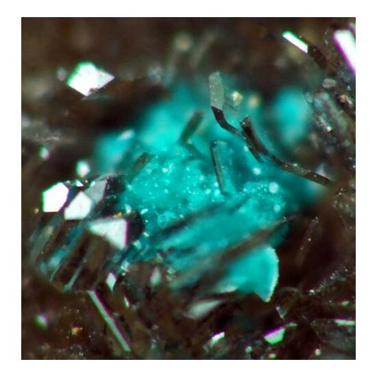 Hemimorphite & Aurichalcite