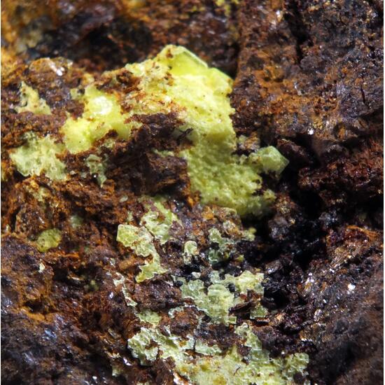 Metanatroautunite