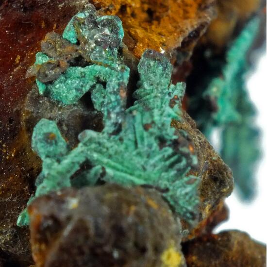 Native Copper Paratacamite & Nantokite