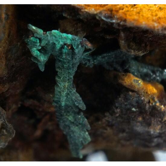 Native Copper Paratacamite & Nantokite