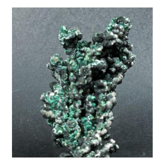 Paratacamite & Tenorite On Native Copper